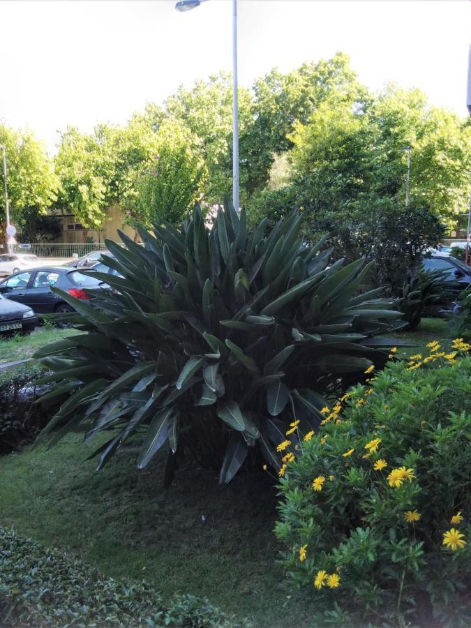 Apartament Covelo Porto Zewnętrze zdjęcie